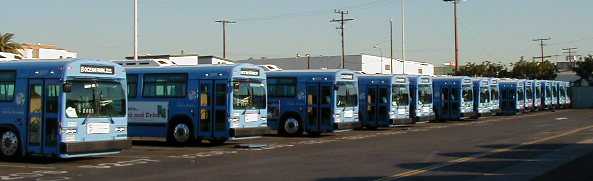 Santa Monica Big Blue Bus MCI Classics